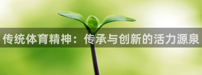 欧亿体育官方正版app开户:传统体育精神:传承与创新的活力源